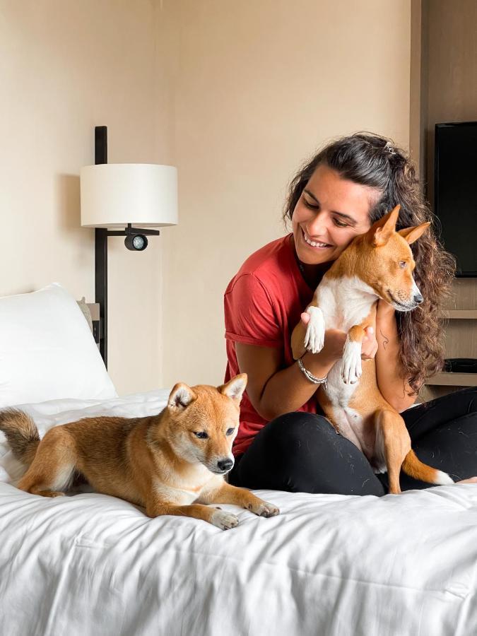 Paradiso Pure.Living Vegan Hotel อัลเป ดิ ซิวซี ภายนอก รูปภาพ